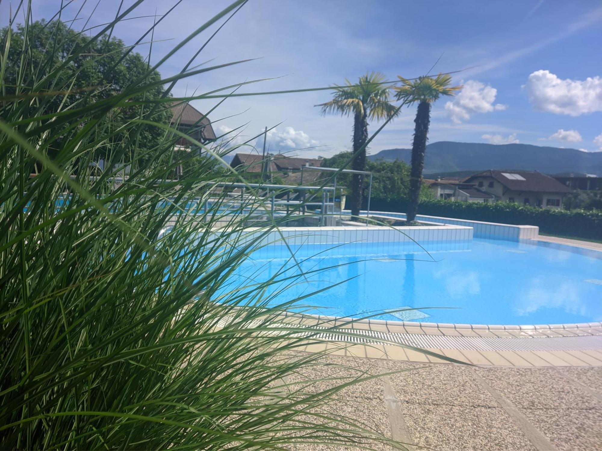 Hotel Garni Saltneregg Caldaro sulla Strada del Vino Exterior foto
